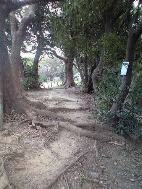 d0107938_1324508.jpg