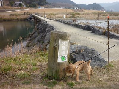 c0211540_044247.jpg