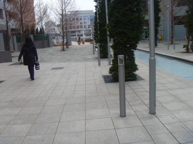 e0121548_2049484.jpg