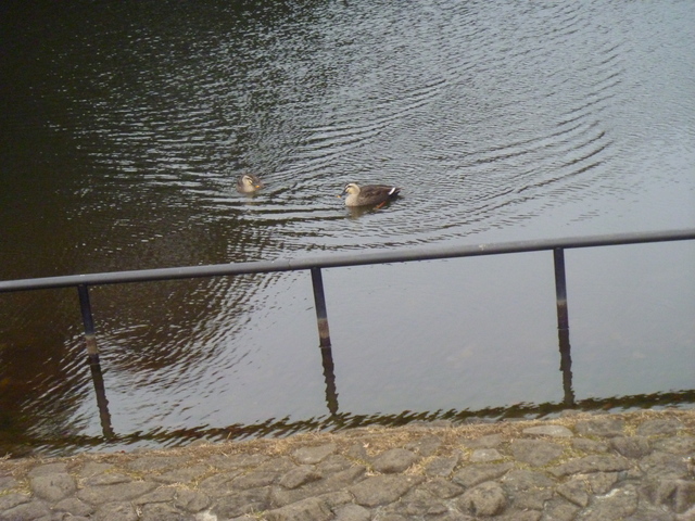 e0121548_216038.jpg