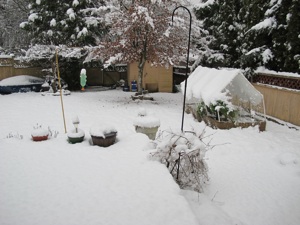 b0090654_0492155.jpg