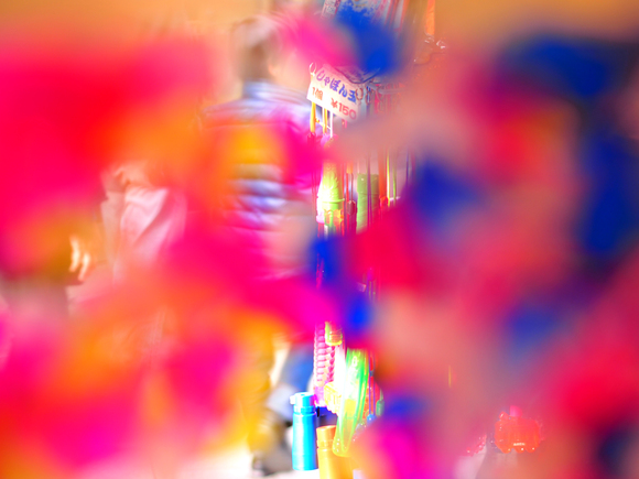 e0066861_251645.jpg