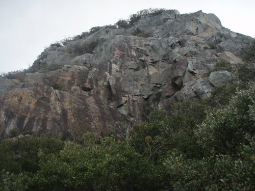 b0050067_133647.jpg