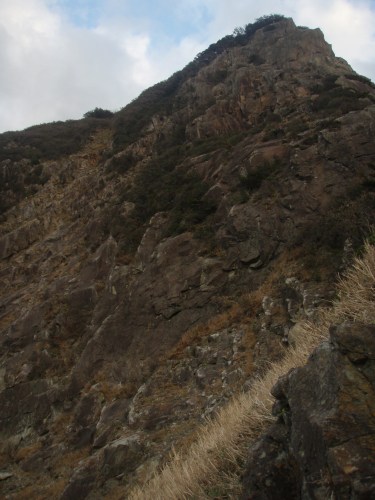 b0050067_22354333.jpg