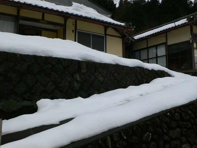 b0042882_21211430.jpg