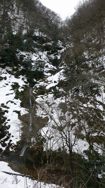 b0042882_215666.jpg