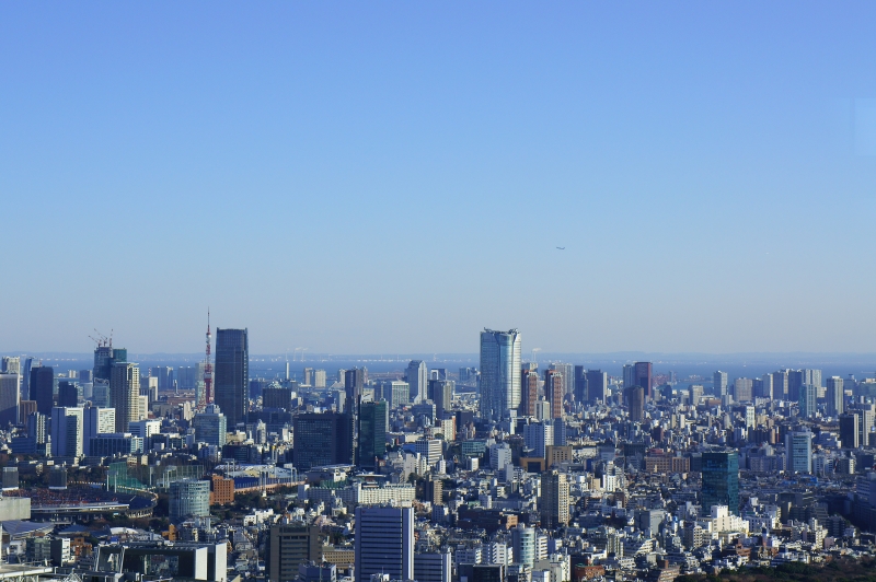 a0185693_912304.jpg