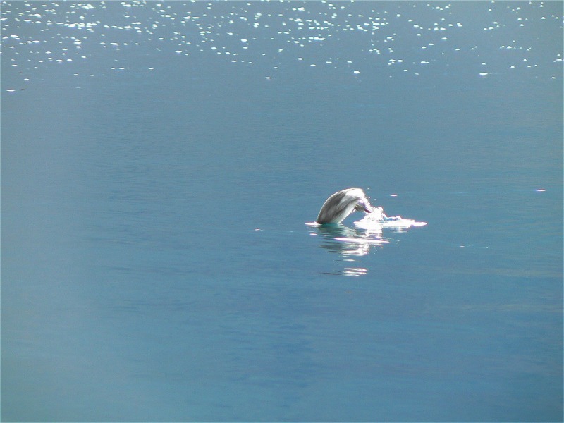 e0202393_2015189.jpg