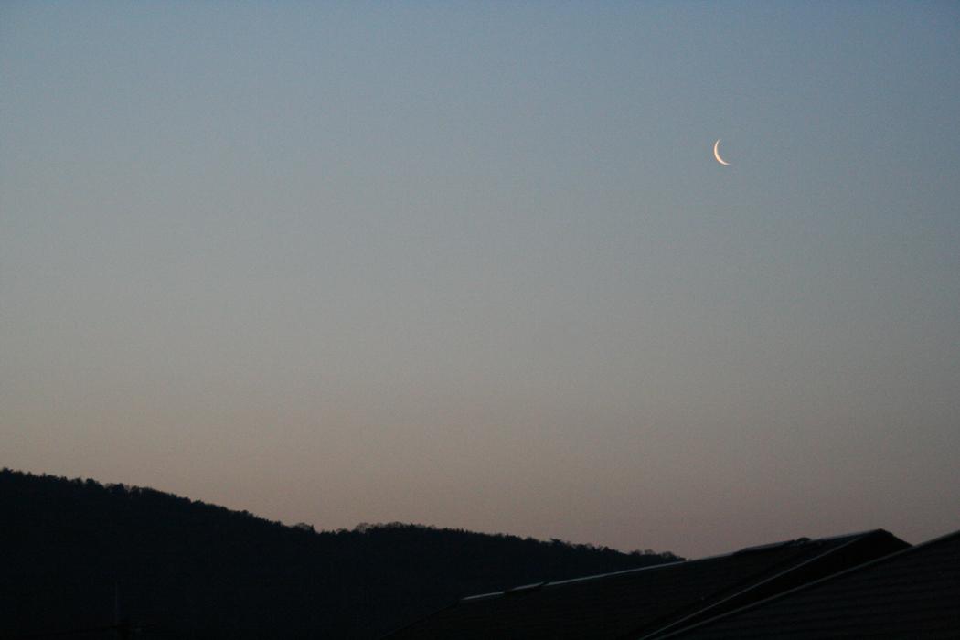 c0072801_4332941.jpg