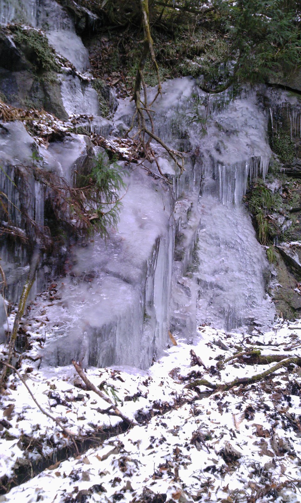e0007801_0564849.jpg