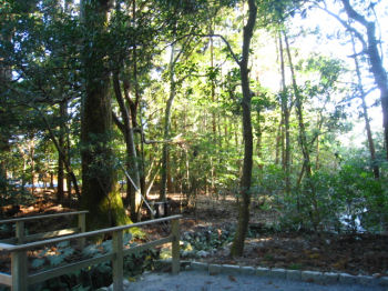 e0149301_17325270.jpg