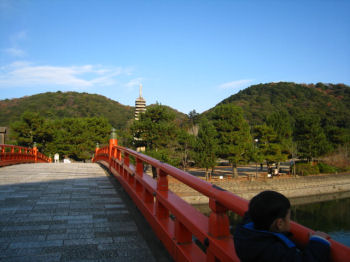 e0149301_17332198.jpg