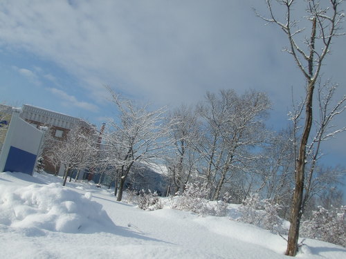 e0216001_22335897.jpg