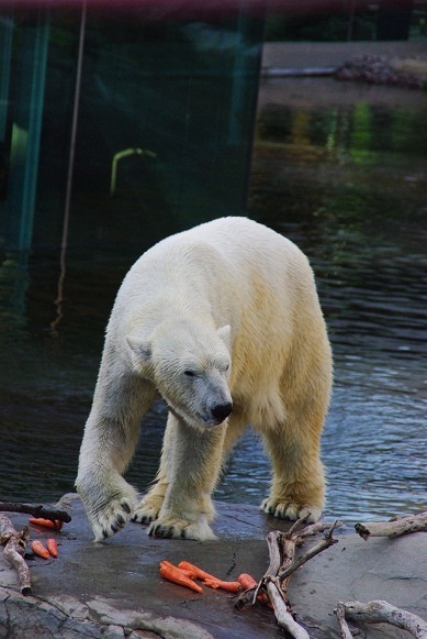 f0038904_3555597.jpg