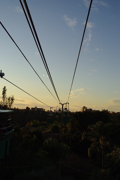 f0038904_46769.jpg