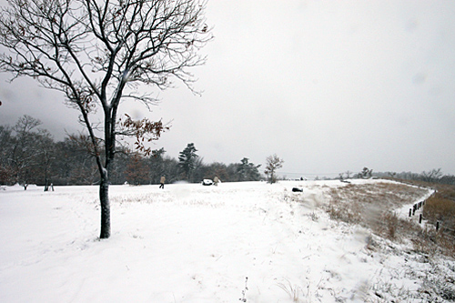 b0014607_2052926.jpg