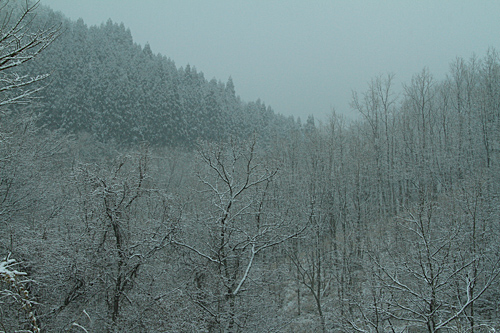 b0014607_20532319.jpg