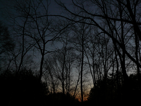 f0006208_1593783.jpg