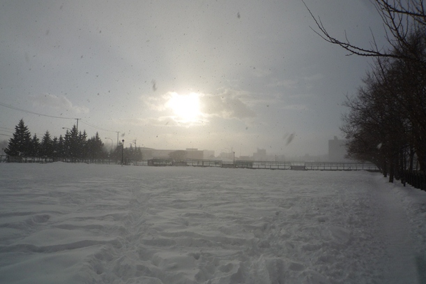 a0109914_1475323.jpg