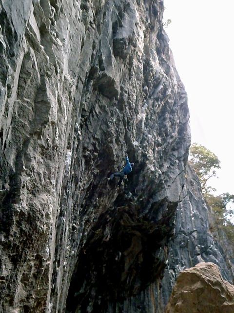 c0210618_2335049.jpg