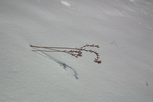 f0118332_2340137.jpg