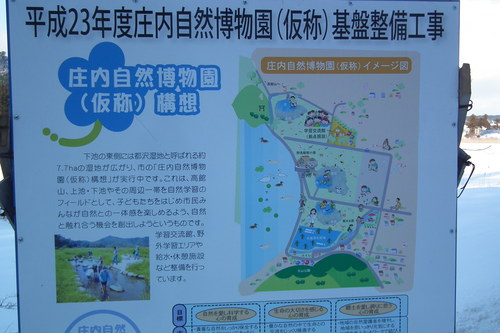f0118332_23444283.jpg