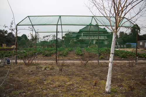 a0231133_11515667.jpg
