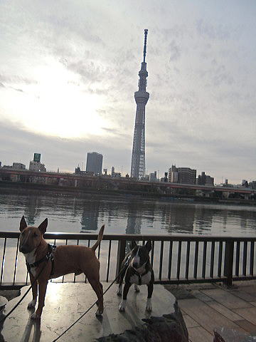 f0094843_1524245.jpg
