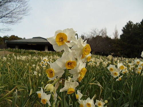 f0094843_2102110.jpg