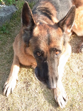 c0107144_020465.jpg