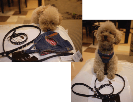 b0182846_2236547.gif