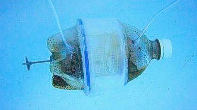 c0011446_2159363.jpg