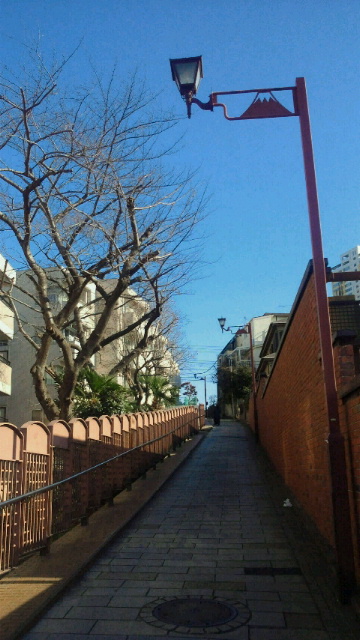 b0195849_15464866.jpg