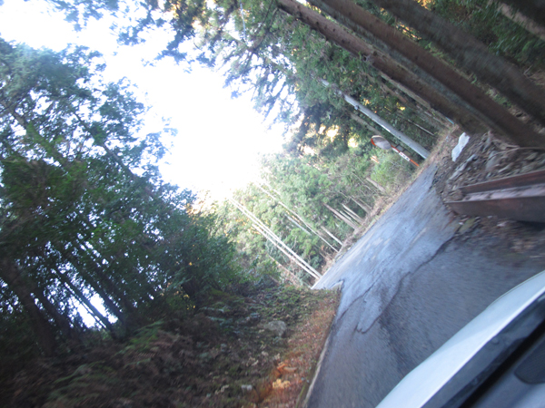 f0225953_9155.jpg