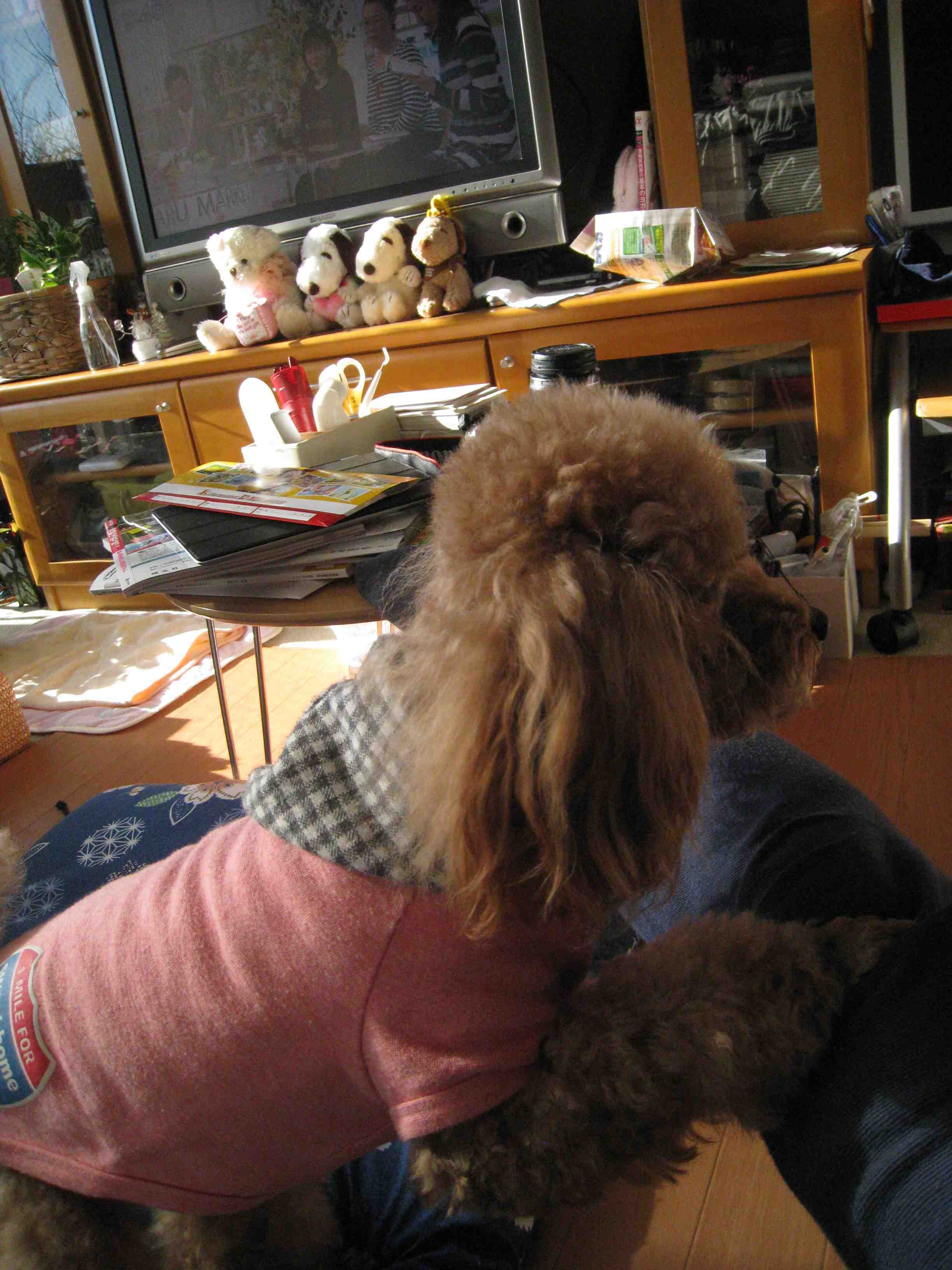 f0233356_1001119.jpg