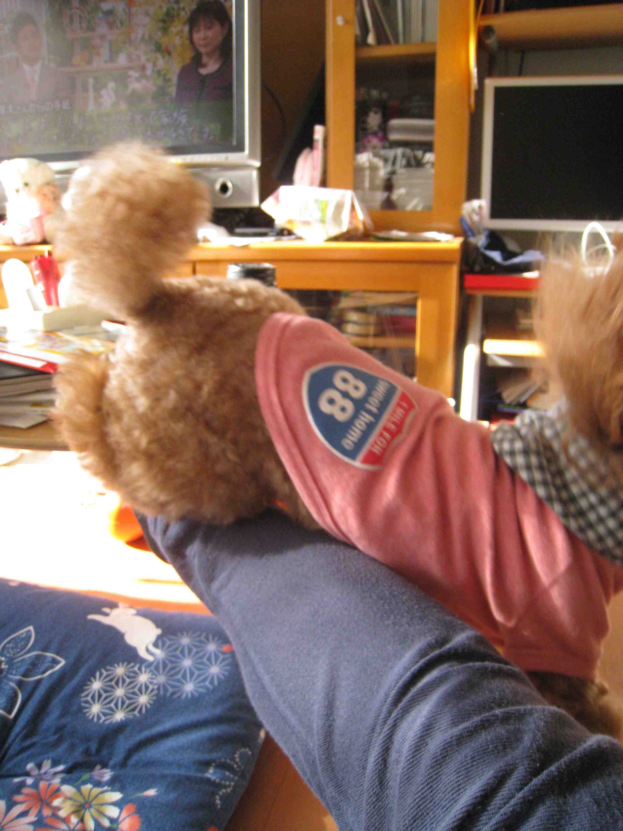 f0233356_1004312.jpg