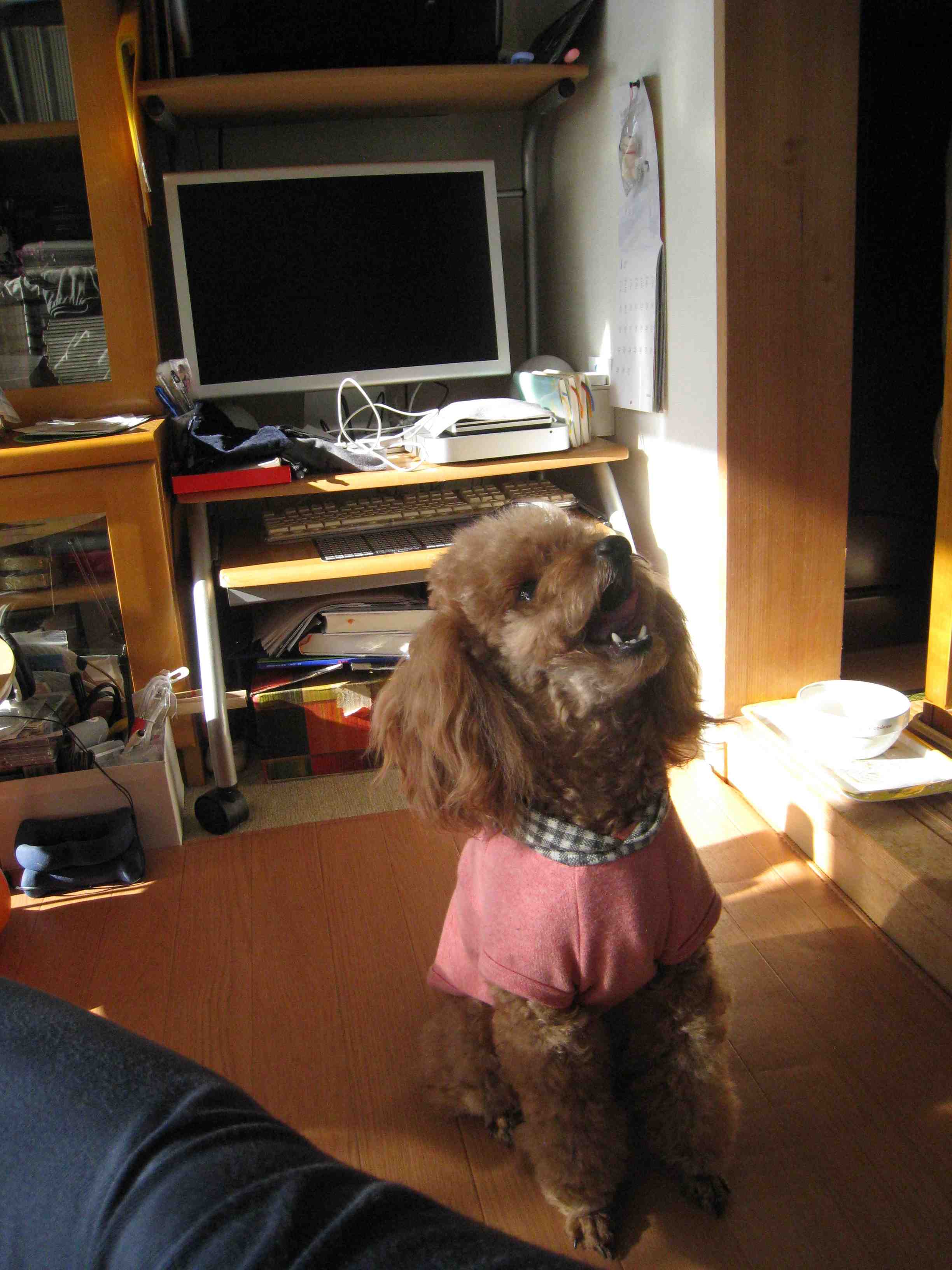 f0233356_9585472.jpg