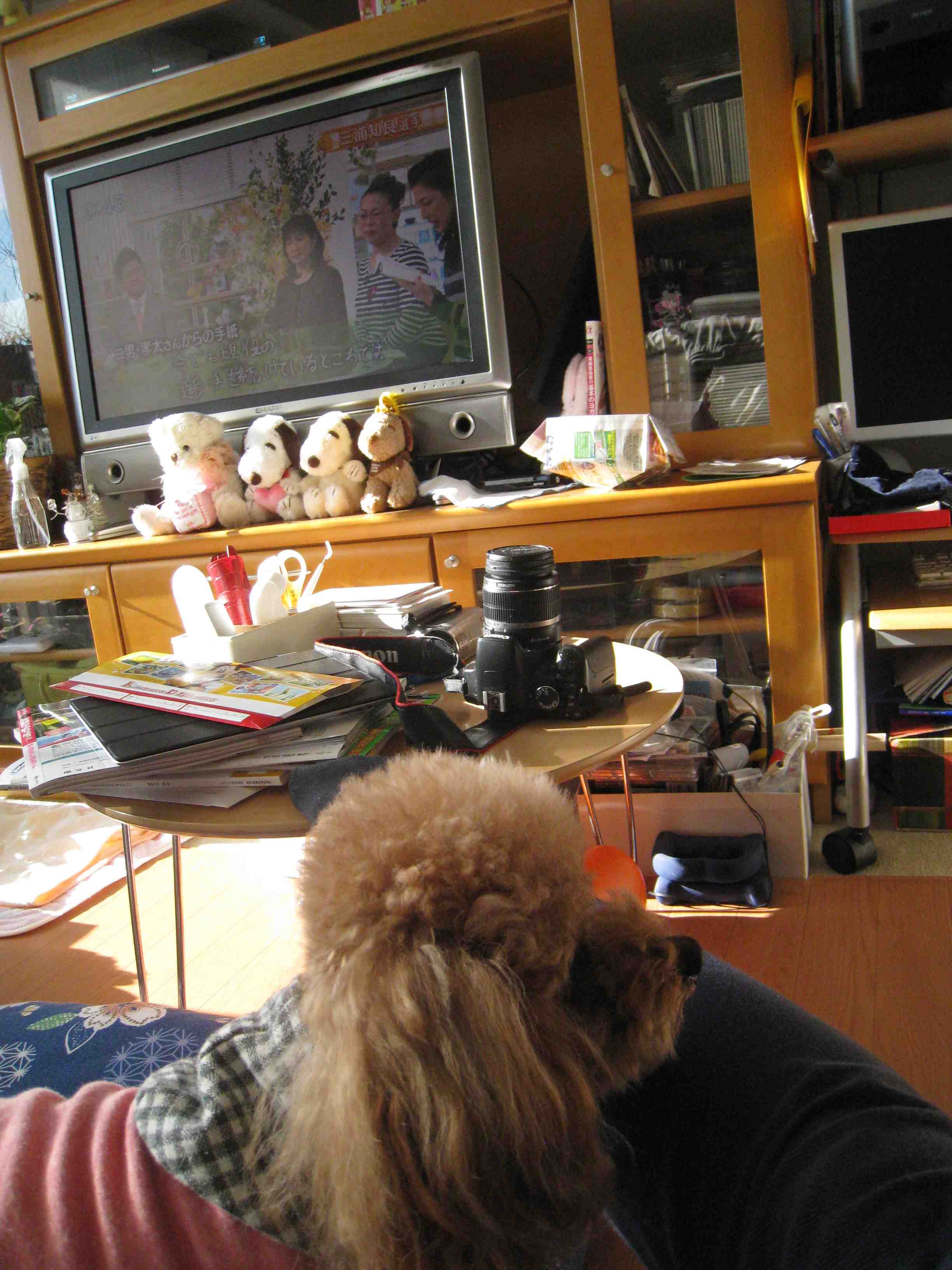 f0233356_9595544.jpg