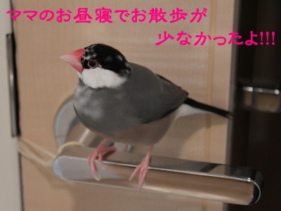b0158061_2181498.jpg