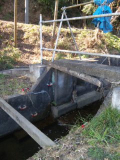 f0020662_2226135.jpg