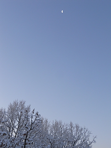 d0019169_1110649.jpg