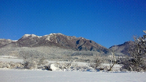 d0019169_1115563.jpg
