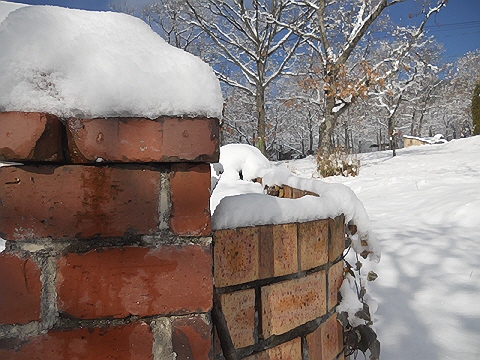 d0019169_11184029.jpg