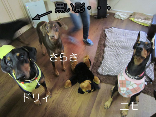 f0025769_1741125.jpg
