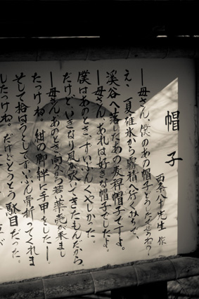 b0011771_293322.jpg