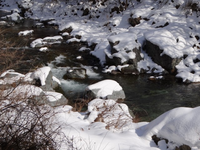 d0134473_17462191.jpg