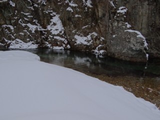 d0134473_17511291.jpg