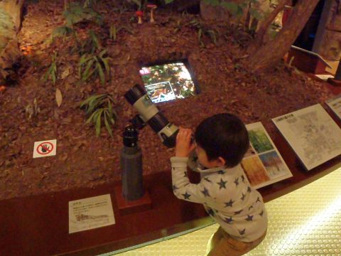 f0047773_21264486.jpg