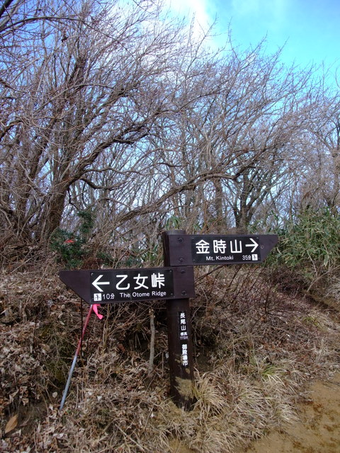 a0043982_2235478.jpg
