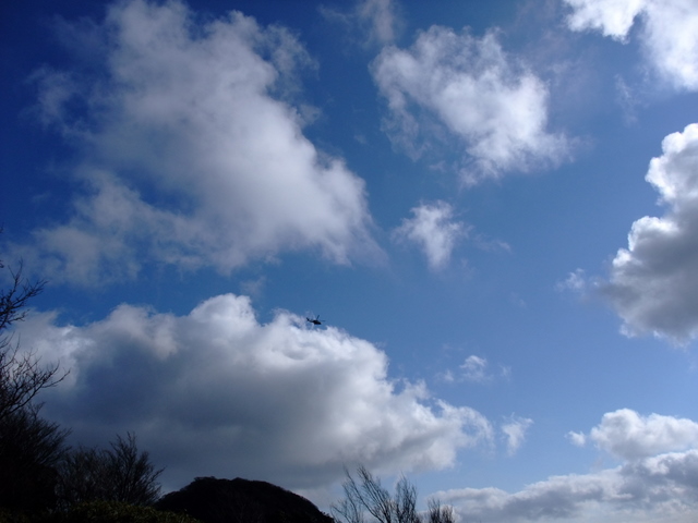 a0043982_224289.jpg